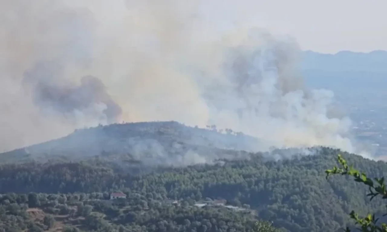 1,255 hektarë pyje të djegura në Shqipëri, Vlora më e dëmtuara