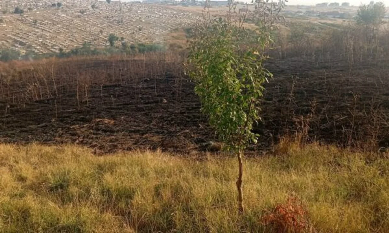 Zjarr i madh pranë Varrezave të Qytetit, disa shtëpi ishin në rrezik: Komuna apelon