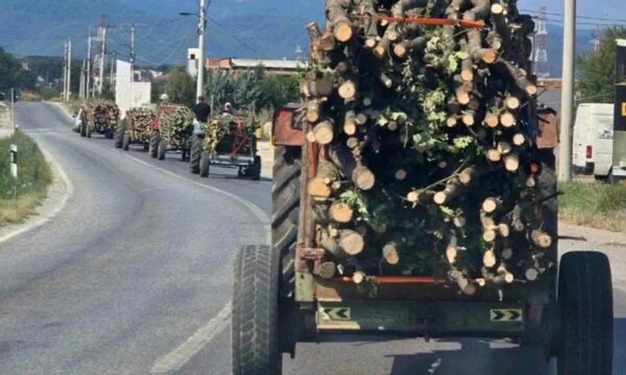 Gjashtë traktorë me dru pa dokumentacion ndalohen në Ferizaj