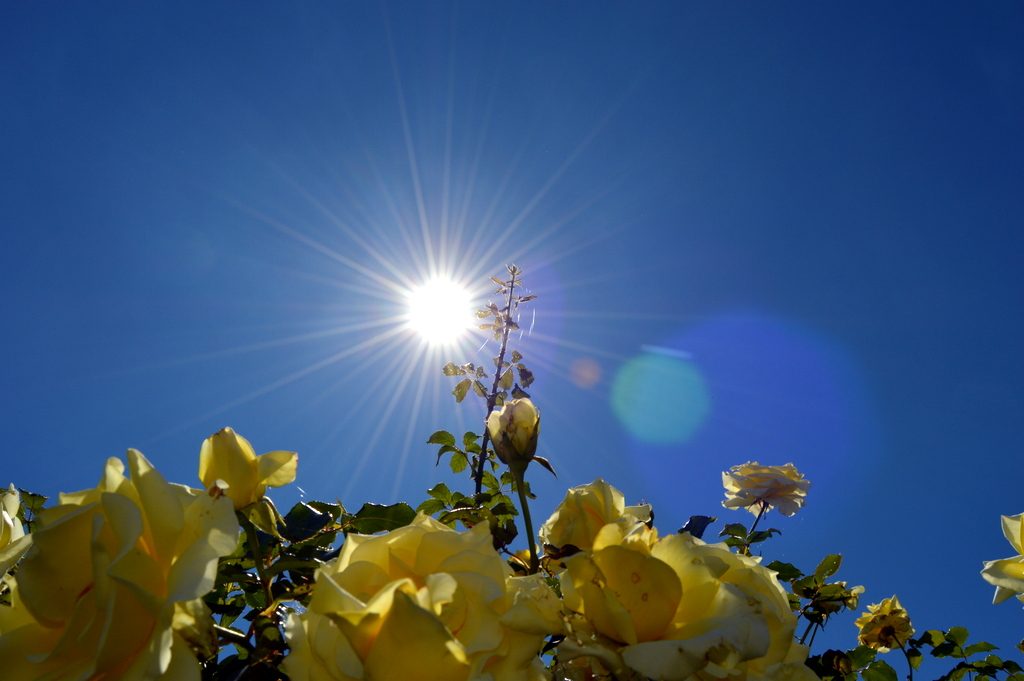 Deri 38°C sot në Kosovë, UV i lartë, shmangni diellin e mesditës