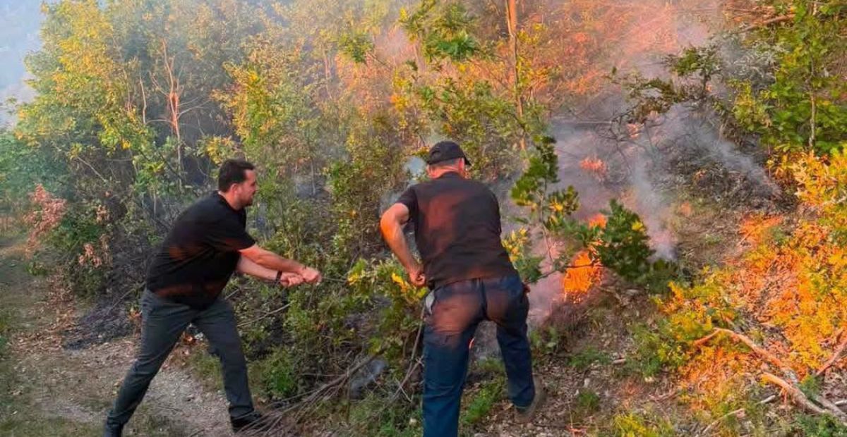 Zjarre aktive në Kutlloc e Bajgor të Mitrovicës, zjarrfikësit në terren