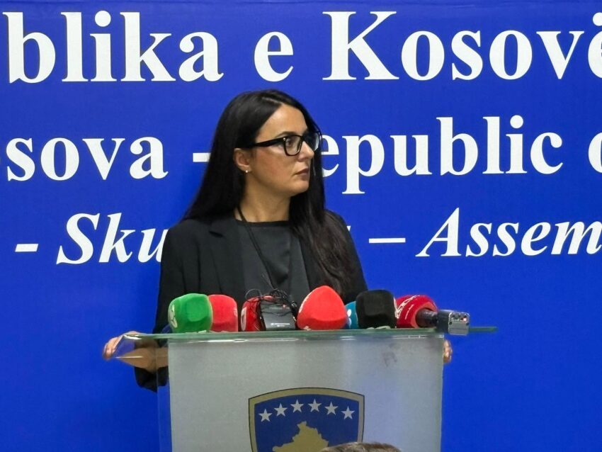 Lushaku-Sadriu: Vullneti politik bëri të funksionojnë institucionet