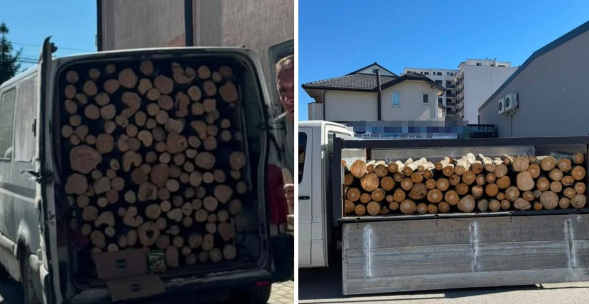 Pesë furgonë dhe një kamion konfiskohen për transport drunjsh në Ferizaj