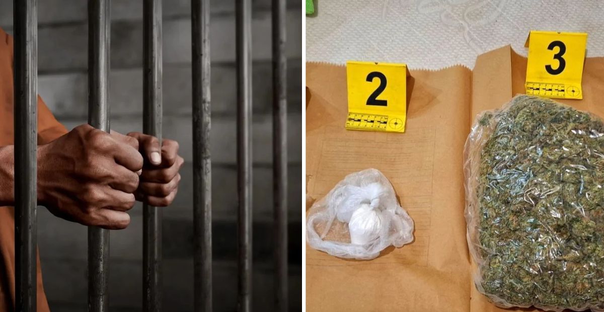 Foto: Bastisje e antidrogës në Gjakovë, sekuestrohet marihuanë dhe ndalohet një i ri
